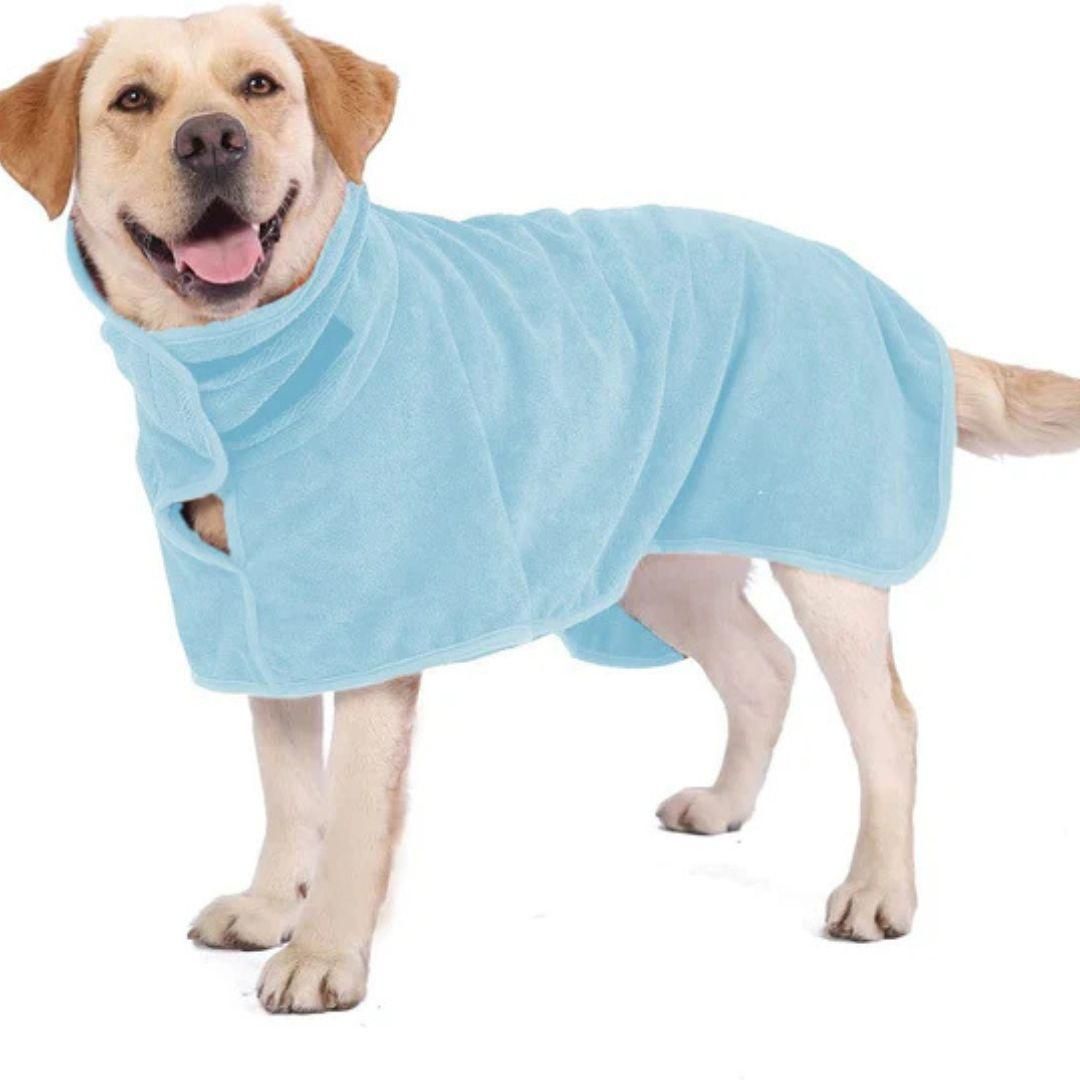 A happy cats & dogs wearing a light blue towel or robe.